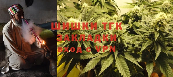spice Аркадак
