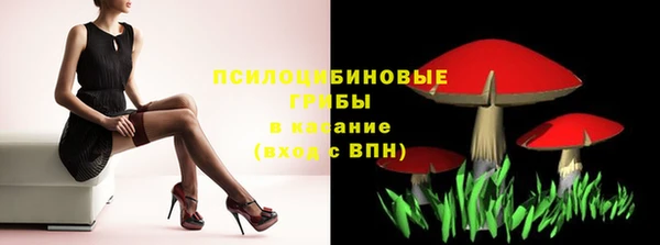 не бодяженный Алексин
